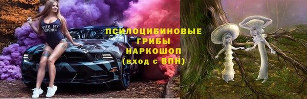 Альфа ПВП Корсаков