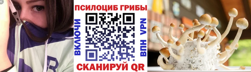 Псилоцибиновые грибы ЛСД Лахденпохья