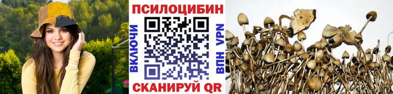 Галлюциногенные грибы Psilocybine cubensis  Купить  Лахденпохья 